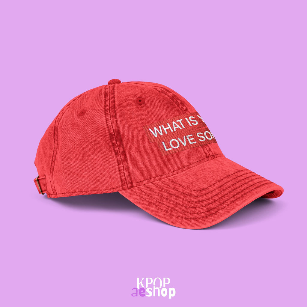 What is your Love songs? Arirang BTS World Tour 2026 | Embroidered Vintage Cap